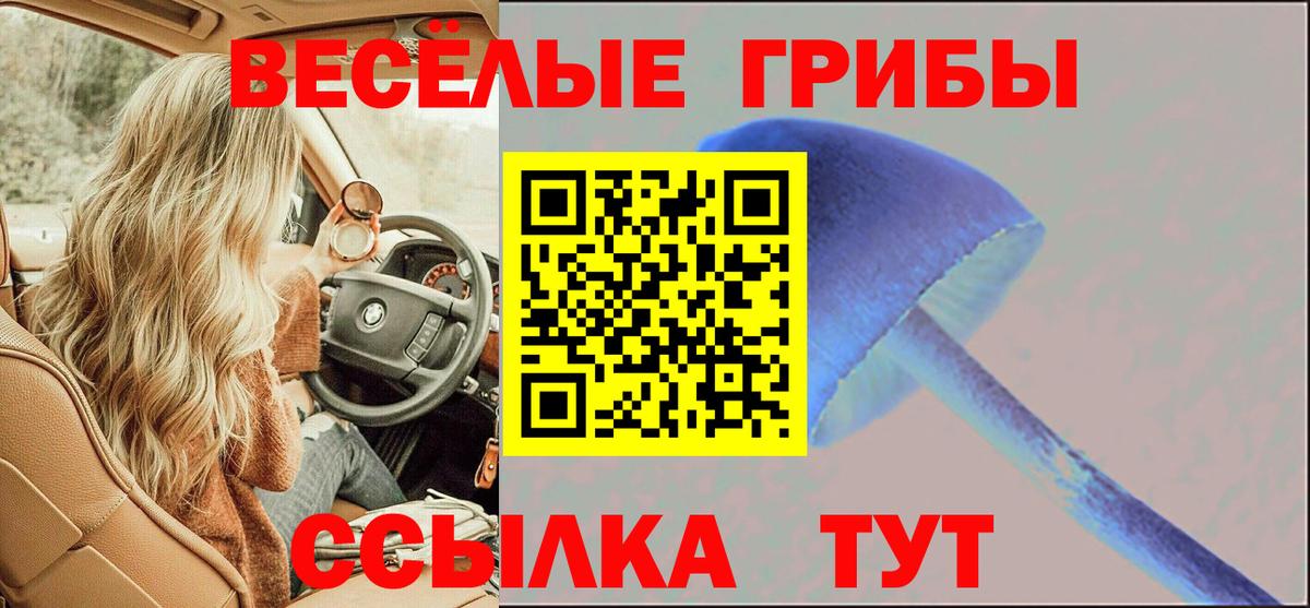 Псилоцибиновые грибы мухоморы  Вход с VPN  Псилоцибиновые грибы мухоморы  Чусовой 